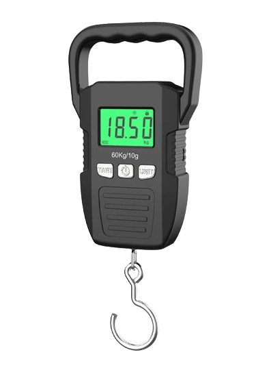 ELECTRONIC SCALE 