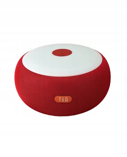 WIRELESS SPEAKER T&G TG616
