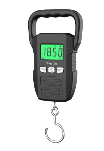 ELECTRONIC SCALE 